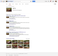 https://www.rebeccajnorton.com/files/gimgs/th-34_screenshot-www_google_com 2014-10-13 09-15-37.jpg